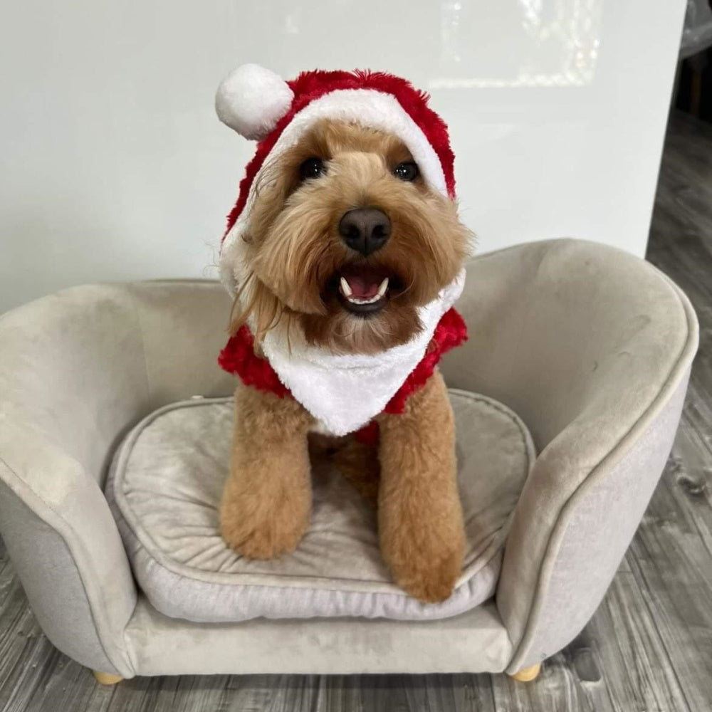 Santa Claus Vest Dog Costume