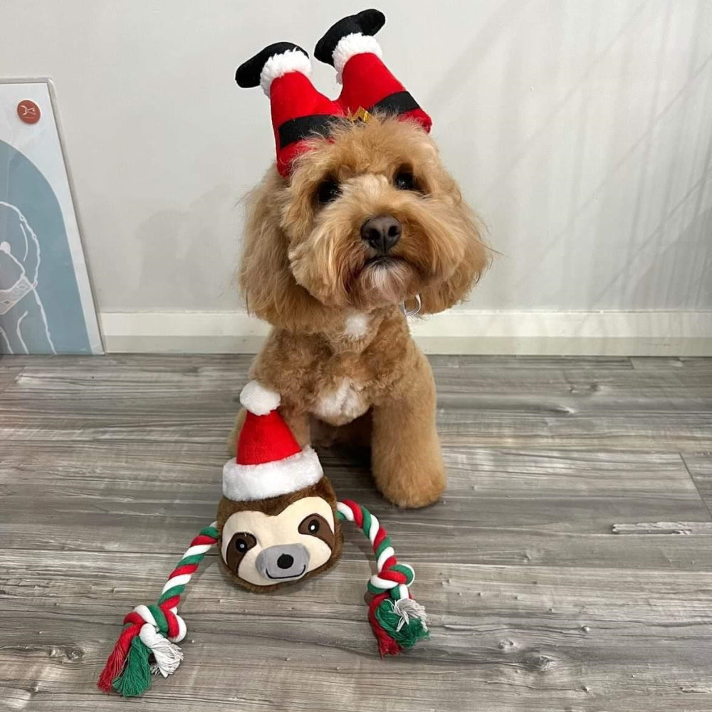 Santa Sloth Plush Rope Toy