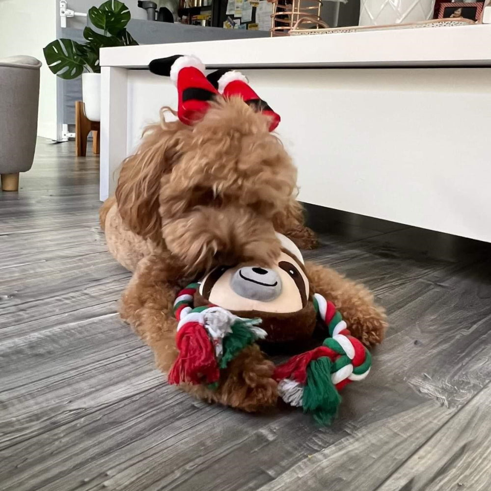 Santa Sloth Plush Rope Toy