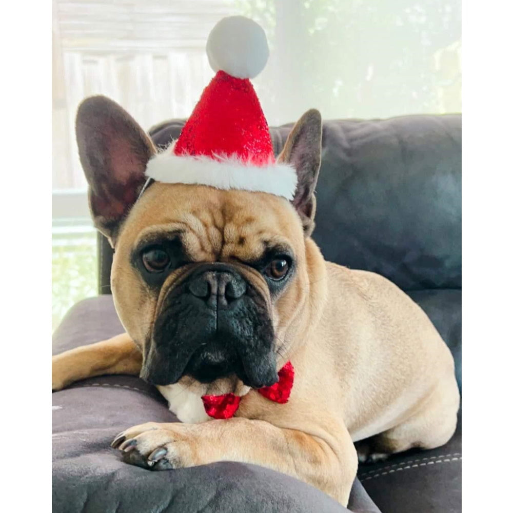 Christmas Party Hat & Bow Tie Collar