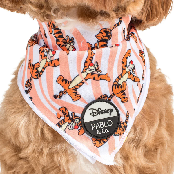 Pablo & Co One of a Kind Tigger: Bandana