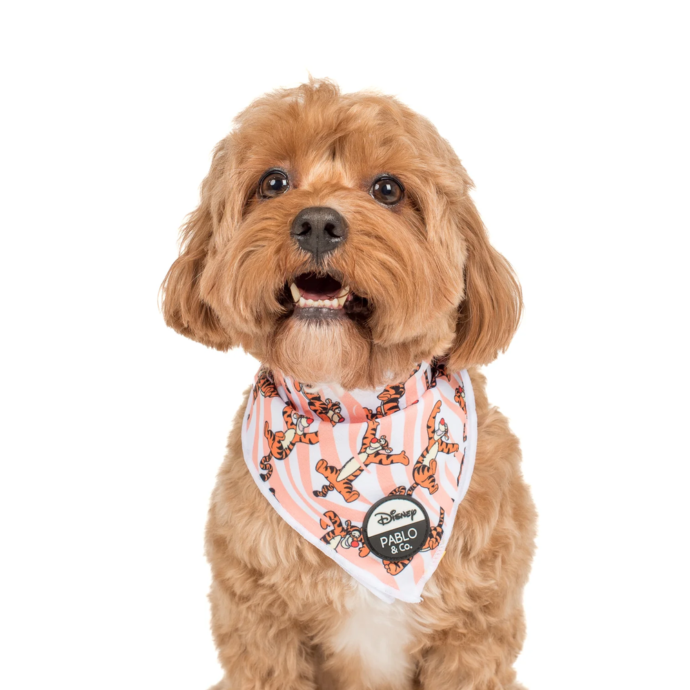 Pablo & Co One of a Kind Tigger: Bandana