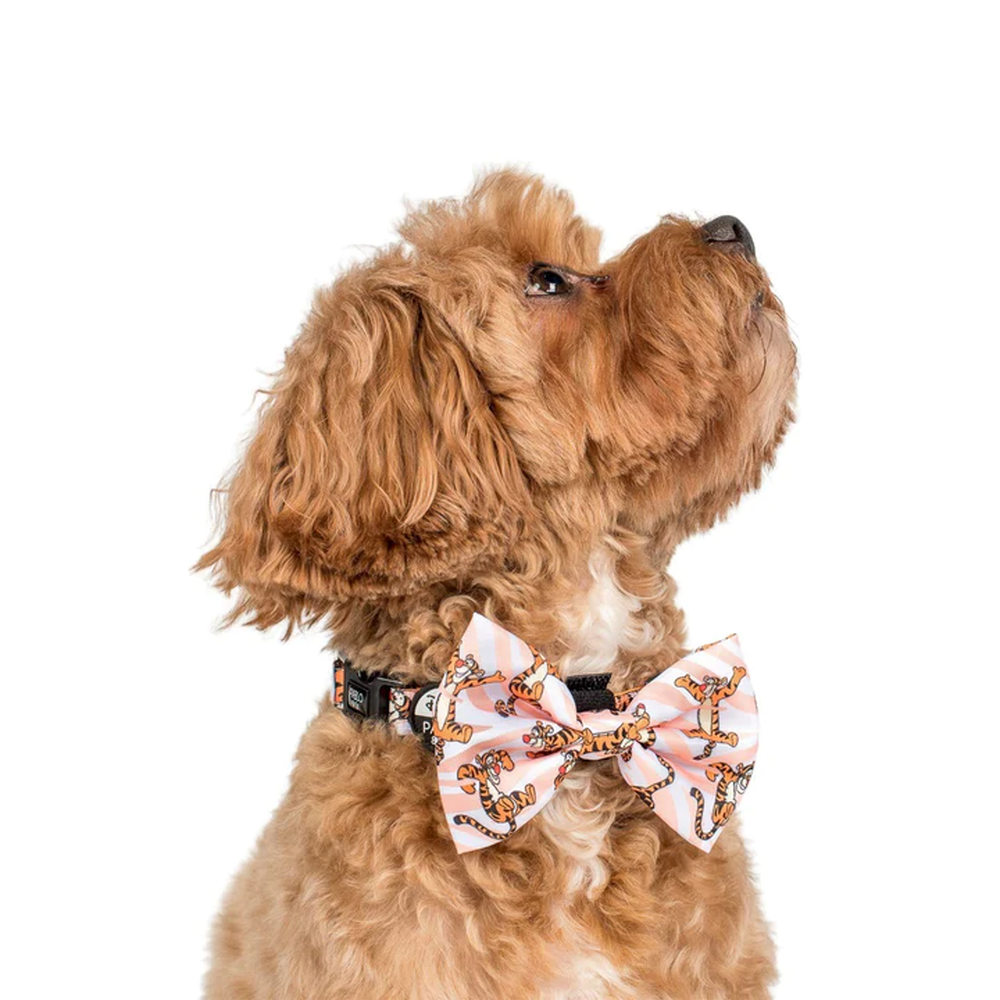 Pablo & Co One of a Kind Tigger: Bow Tie