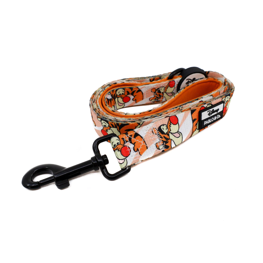 Pablo & Co One of a Kind Tigger: Dog Leash