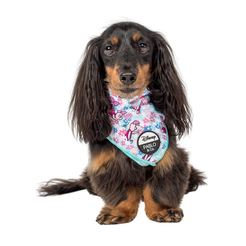 Pablo & Co Piglet: Bandana