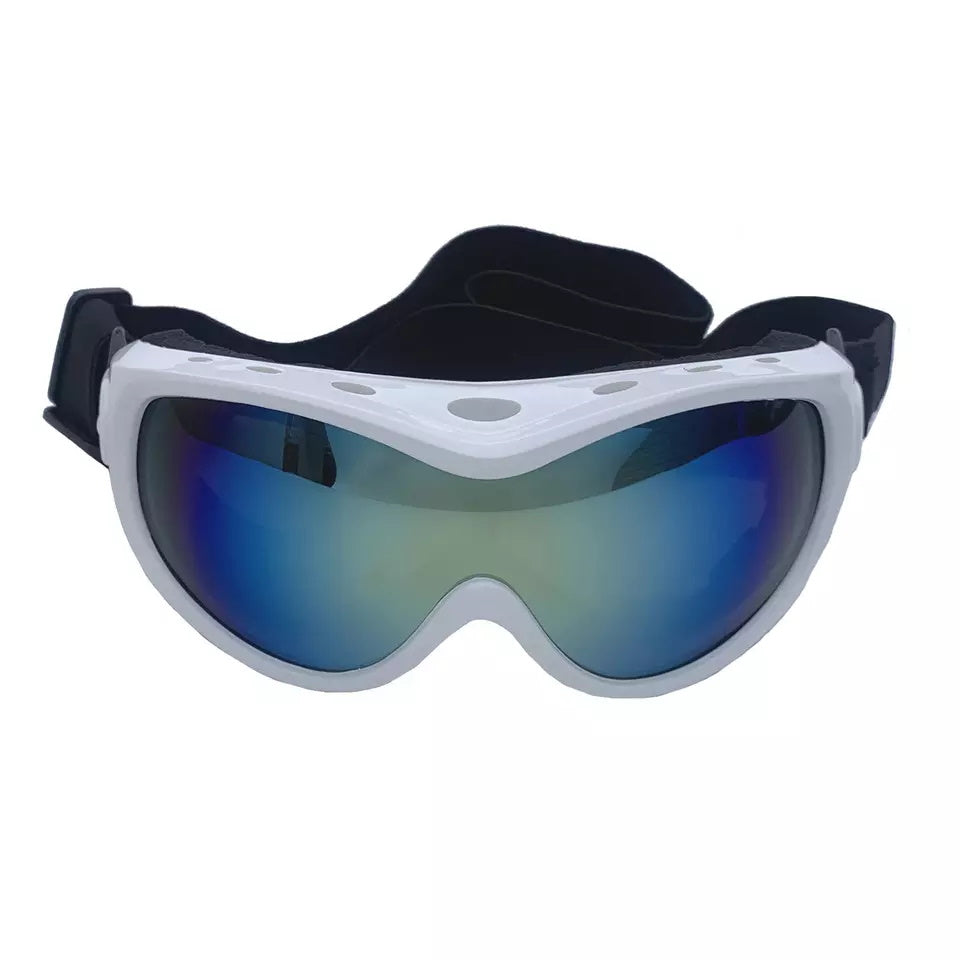 Ski Dog Goggles