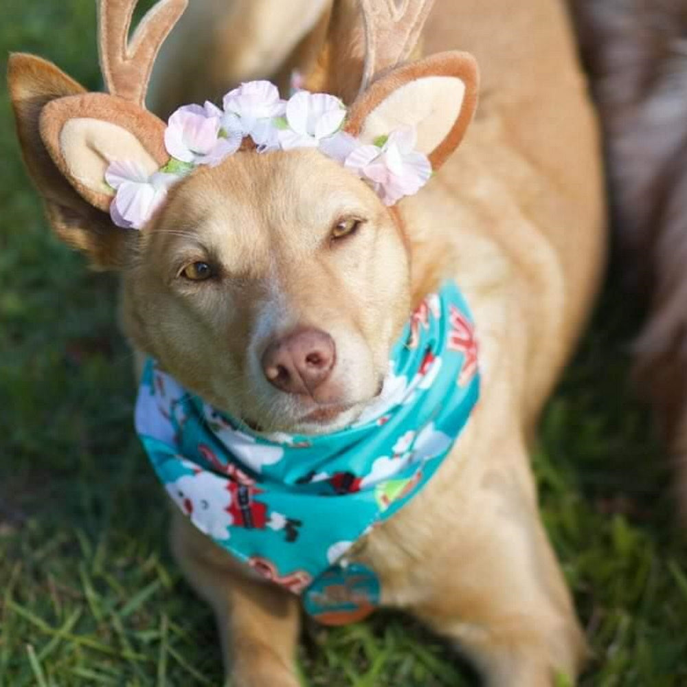 Nordic Reindeer Antlers Dog Headpiece