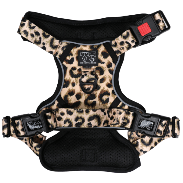 Big & Little Dogs Luxurious Leopard All Rounder Harness - All Rounder Harnesses from Big & Little Dogs at DoggyTopia