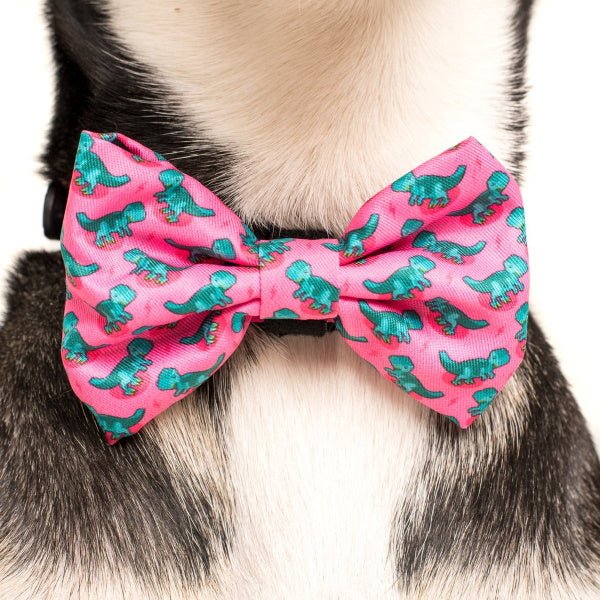Big & Little Dogs Princess - asaurus Collar & Bow Tie - Collar & Bow Ties from Sale at DoggyTopia