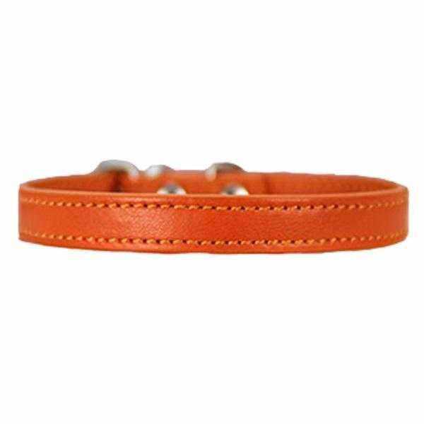 Dog Collar Buckle StyleDoggyTopia