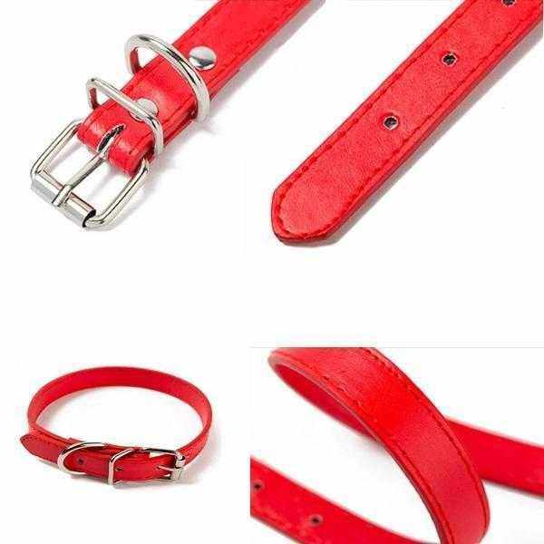 Dog Collar Buckle StyleDoggyTopia