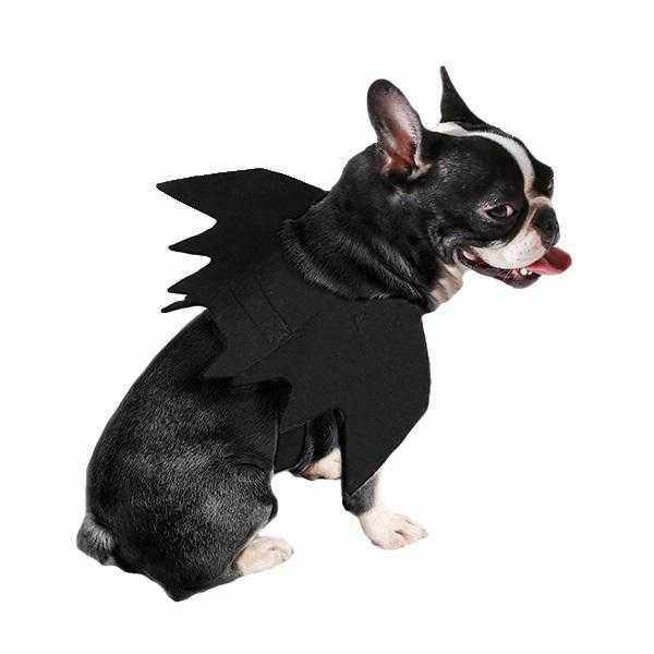 Bat Wings Dog Halloween CostumeDoggyTopia