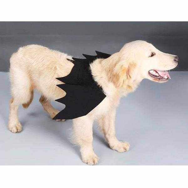 Bat Wings Dog Halloween CostumeDoggyTopia