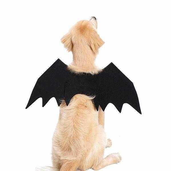 Bat Wings Dog Halloween CostumeDoggyTopia