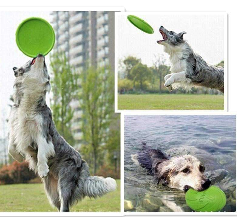 Dog-O-Soar Dog FrisbeeDoggyTopia