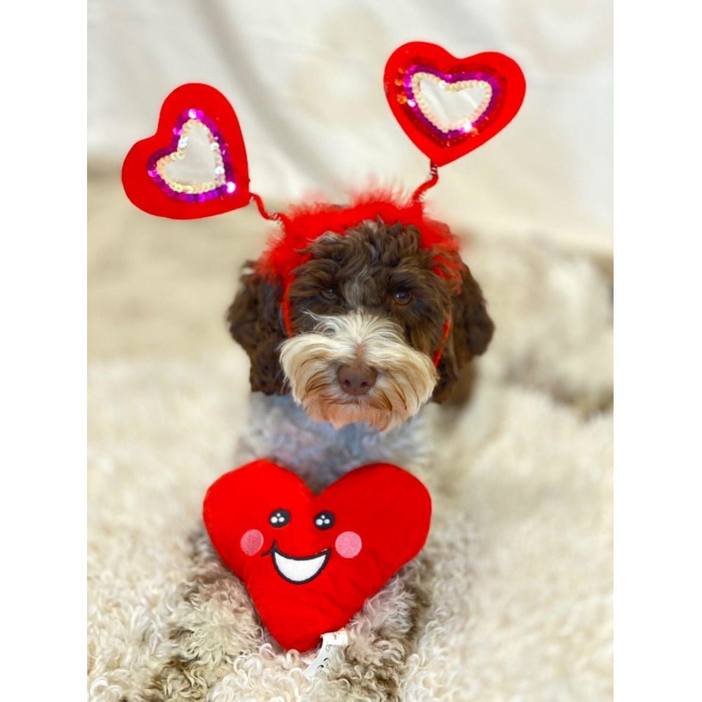 DoggyTopia Poker Club - Heart Dog Toy - Plush Toys from Sale at DoggyTopia