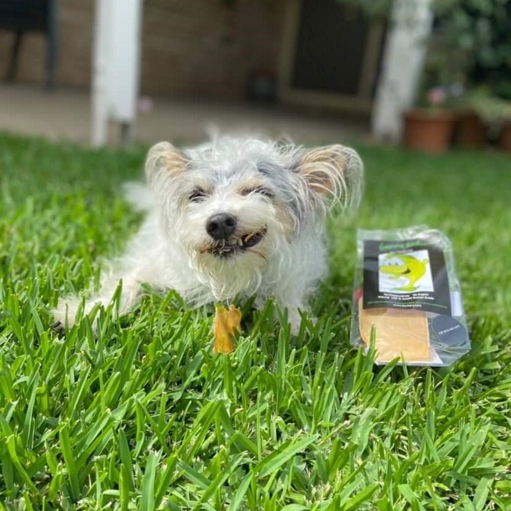 L'Barkery Guppie Ear Chewz - Treats from L'Barkery at DoggyTopia