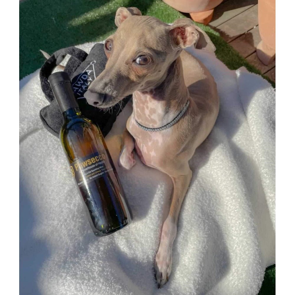 L'Barkery Pawsecco Sparkling Wine Bottle - Beverages from L'Barkery at DoggyTopia