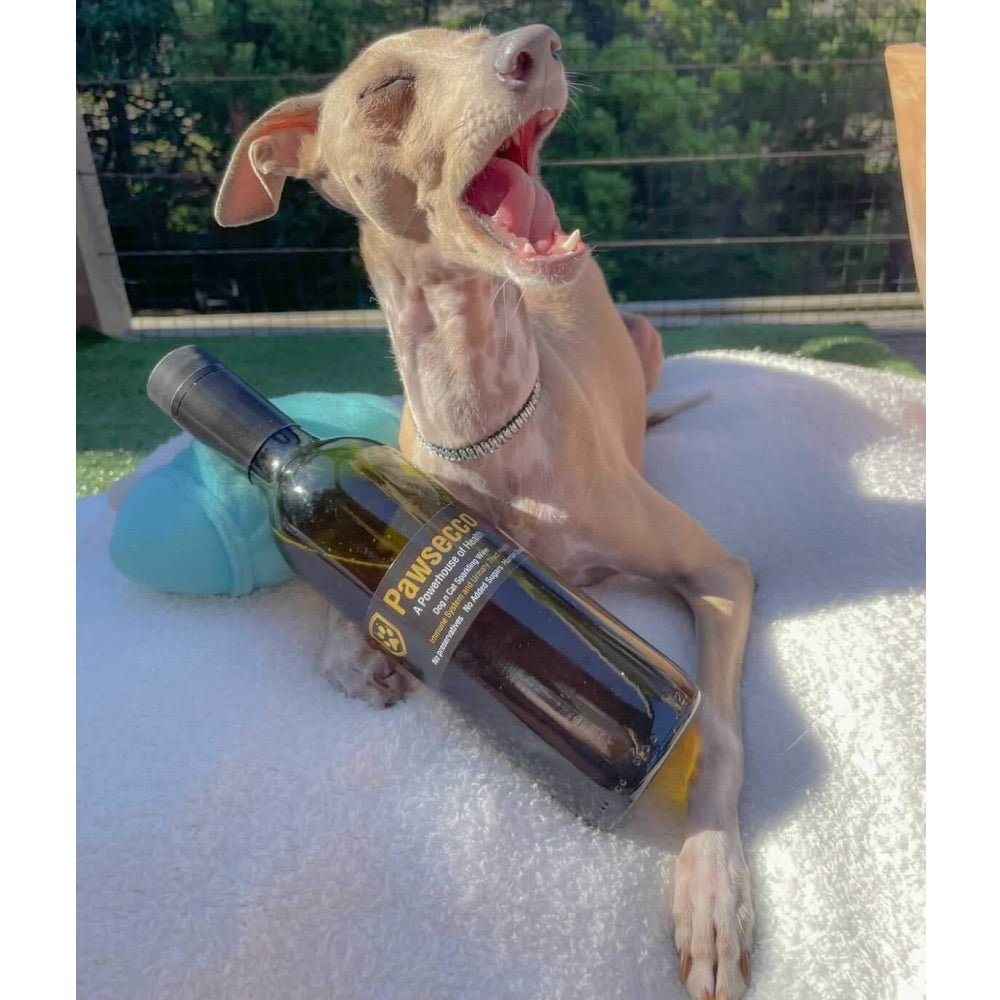 L'Barkery Pawsecco Sparkling Wine Bottle - Beverages from L'Barkery at DoggyTopia