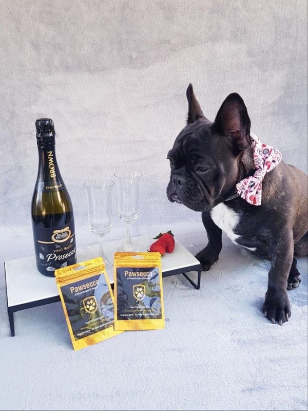 L'Barkery Pawsecco Sparkling Wine Bottle - Beverages from L'Barkery at DoggyTopia
