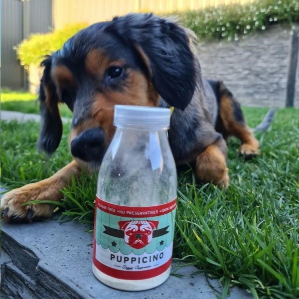 L'Barkery Puppicino Shaker + Pre Mix - Beverages from L'Barkery at DoggyTopia