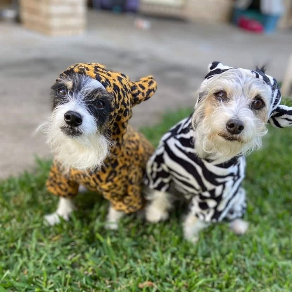 Leopard Jumpsuit Dog Costume - Jumpsuits from Sale at DoggyTopia