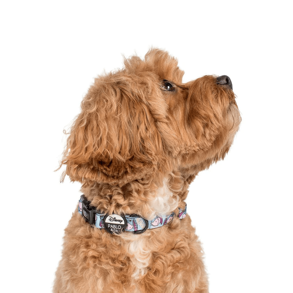 Pablo & Co Eeyore: Dog Collar - Collars from Pablo & Co Disney at DoggyTopia