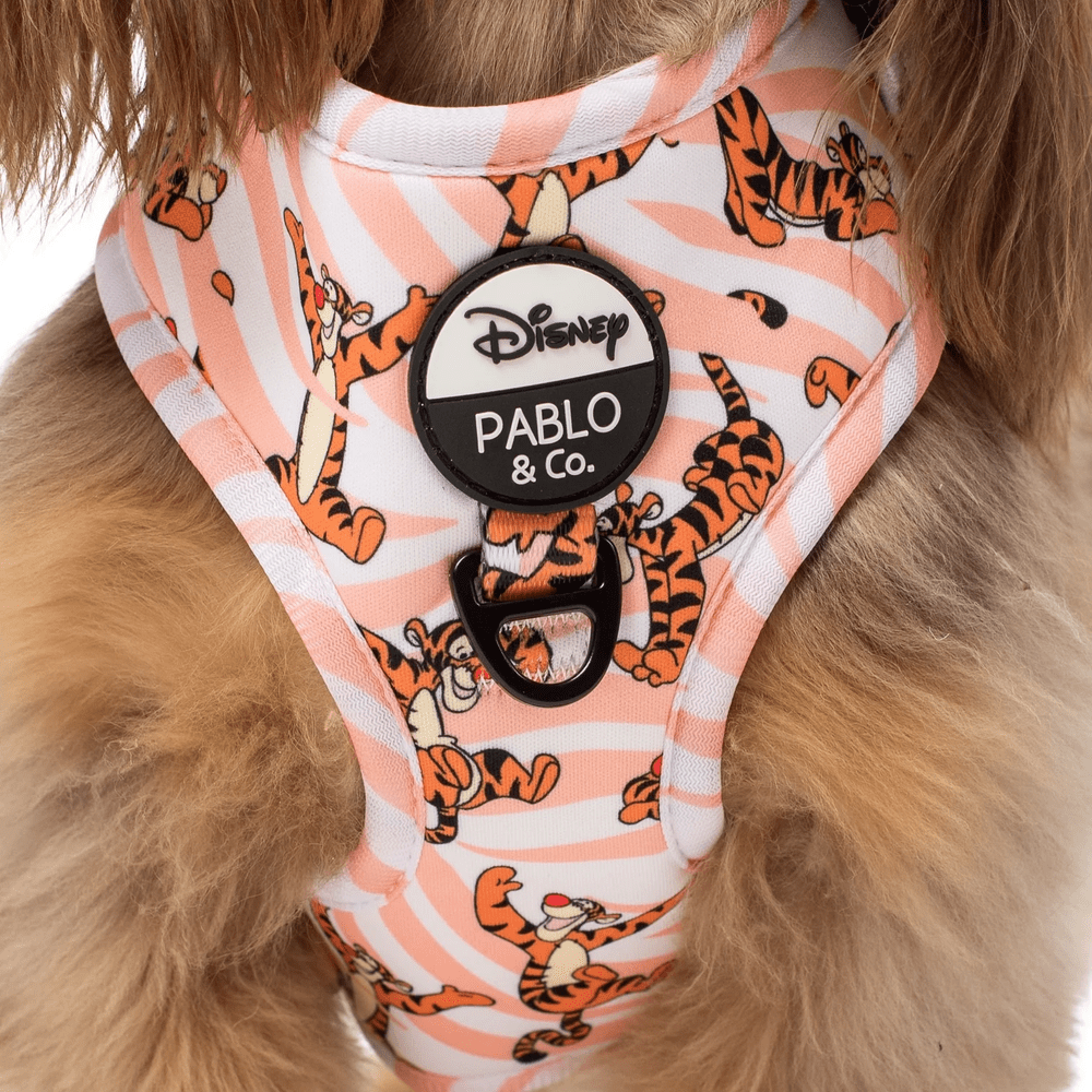Pablo & Co One of a Kind Tigger: Adjustable Harness - Adjustable Harnesses from Pablo & Co Disney at DoggyTopia