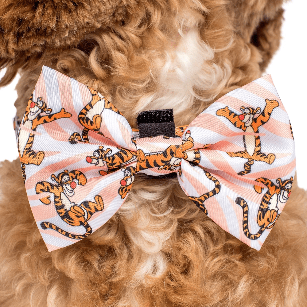 Pablo & Co One of a Kind Tigger: Bow Tie - Bow Ties from Pablo & Co Disney at DoggyTopia