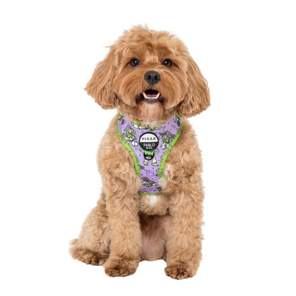 Pablo & Co Toy Story - Buzz Lightyear: Adjustable Harness - Adjustable Harnesses from Pablo & Co Disney at DoggyTopia