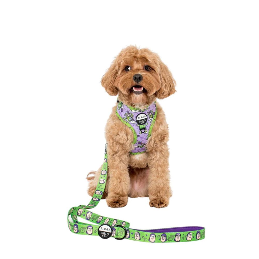 Pablo & Co Toy Story - Buzz Lightyear: Dog Leash - Leashes & Leads from Pablo & Co Disney at DoggyTopia