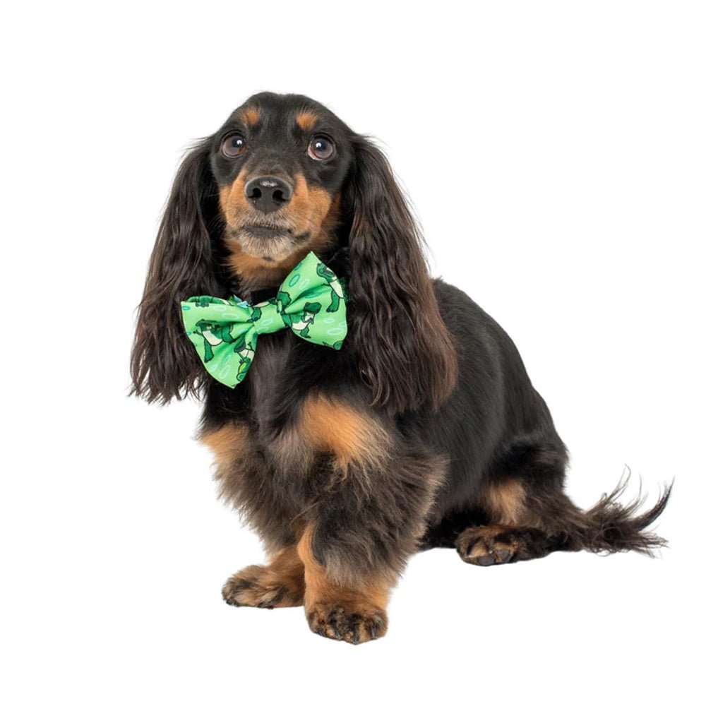Pablo & Co Toy Story - Rex: Bow Tie - Bow Ties from Pablo & Co Disney at DoggyTopia