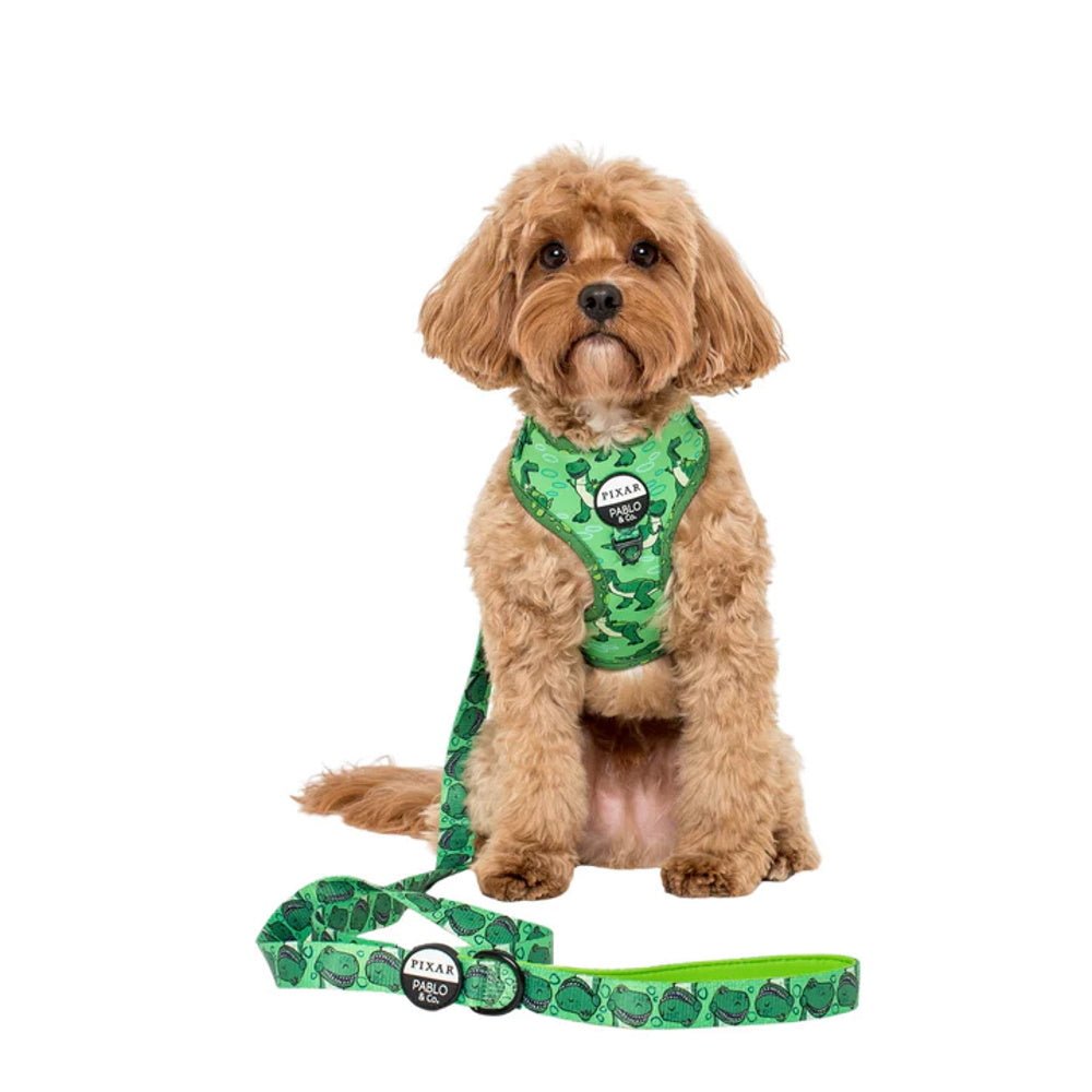 Pablo & Co Toy Story - Rex: Dog Leash - Leashes & Leads from Pablo & Co Disney at DoggyTopia