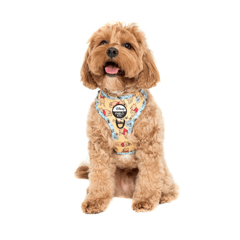 Pablo & Co Winnie the Pooh & Bee's: Adjustable Harness - Adjustable Harnesses from Pablo & Co Disney at DoggyTopia