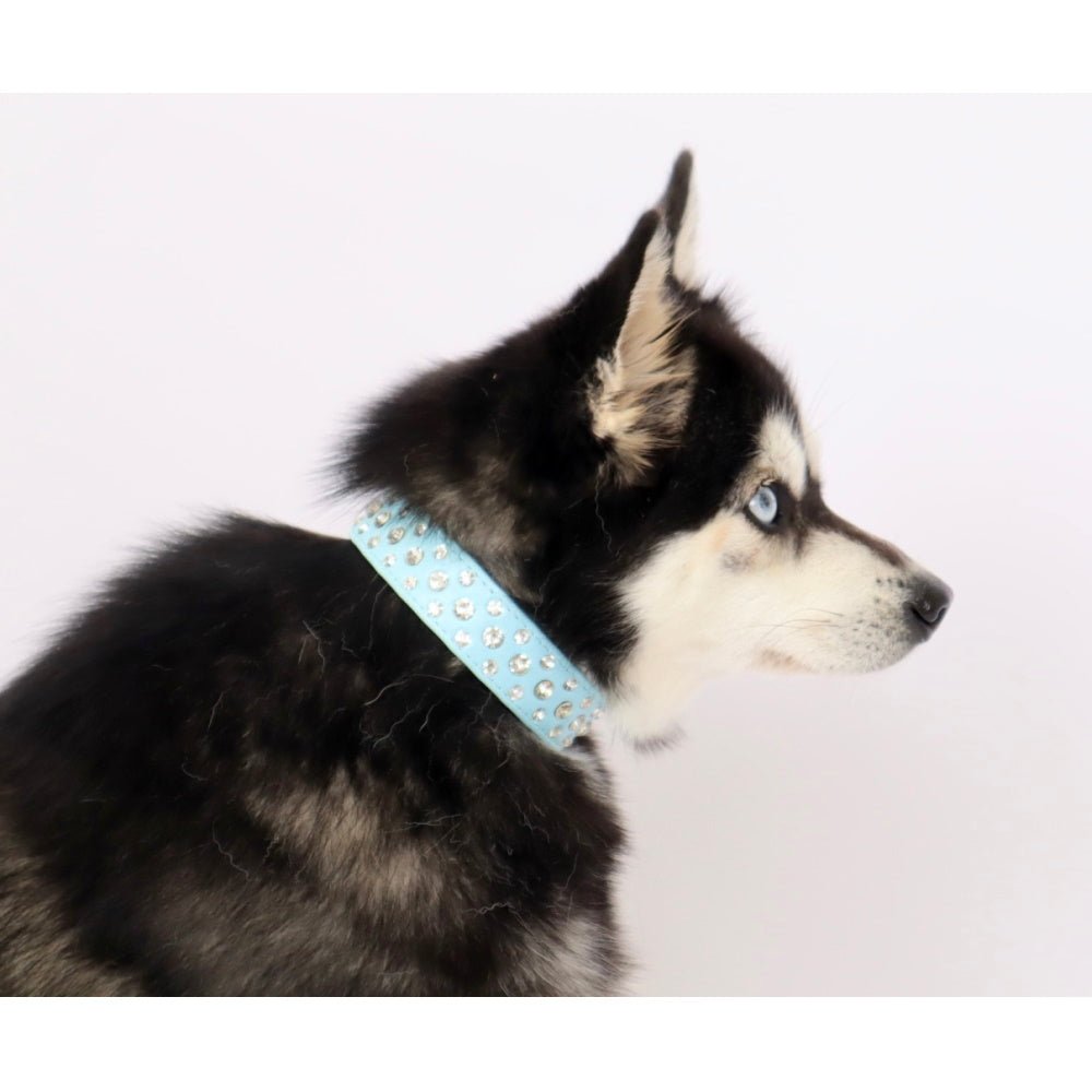 Rhinestone studded Dog Collar - Collars - Bling from . at DoggyTopia