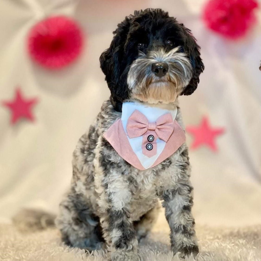 Tuxedo Dog Bandana - Dusty Pink - Tuxedo Bandanas from . at DoggyTopia