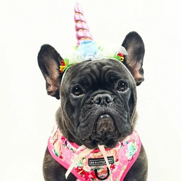 Unicorn Headpiece - Costumes from Halloween at DoggyTopia